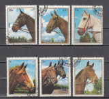 M2 TS6 3 - Timbre foarte vechi - Sharjah - rase de cai, Fauna, Stampilat
