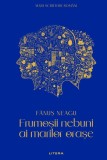Frumosii nebuni ai marilor orase (vol. 14)