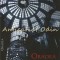 Oradea - Coordonator: Aurel Chiriac