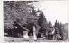 Bnk cp Muntii Bucegi - Cabana Poiana Stanii - circulata - vignieta ONT Carpati, Sinaia, Printata