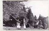 bnk cp Muntii Bucegi - Cabana Poiana Stanii - circulata - vignieta ONT Carpati