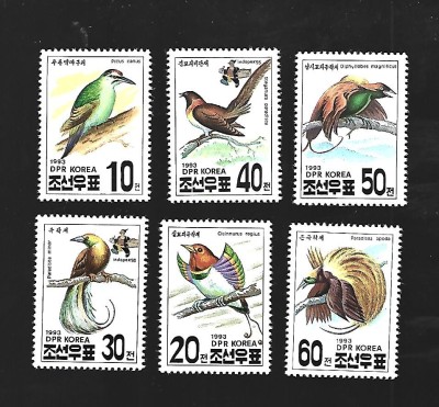 korea pasari mnh foto