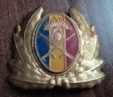 QW14 - Emblema militara / cuc - uscat - anii 1990 - piesa de colectie