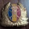 QW14 - Emblema militara / cuc - uscat - anii 1990 - piesa de colectie