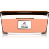 Woodwick Manuka Nectar lum&acirc;nare parfumată cu fitil din lemn (hearthwick) 453,6 g
