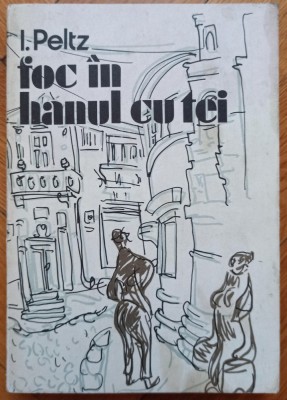 Foc in Hanul cu Tei - I. Peltz foto