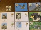 alderney - pasari - serie 4 timbre MNH, 4 FDC, 4 maxime, fauna wwf