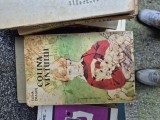 Colina v&acirc;ntului vintage