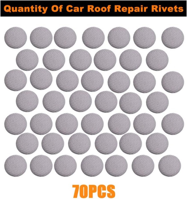 Kit 70 capse, JENUOS&reg;, incluse 70 bucati catarame, 70 cuie colorate, surubelnita, banda de masura, pentru reparatia plafonului auto, instructiuni incl