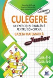 Culegere de exercitii si probleme pentru concursul Gazeta Matematica Junior - clasa a III-a si clasa a IV-a, Didactica Publishing House