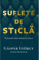 Suflete de sticla - Pagina de psihologie