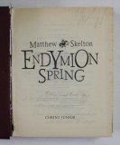 ENDYMION SPRING , TRECUTUL ESTE O FIARA PERICULOASA de MATTHEW SKELTON , 2007