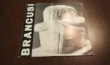 BRANCUSI 1876-1976 - Mircea Deac (text) - Editura Litera, 1976; lb. franceza; dim.: 32.5x31.5 cm; coperta originala