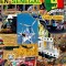 INVERTIR EN SENEGAL - Invest in Senegal - Celso Salles: Colecci