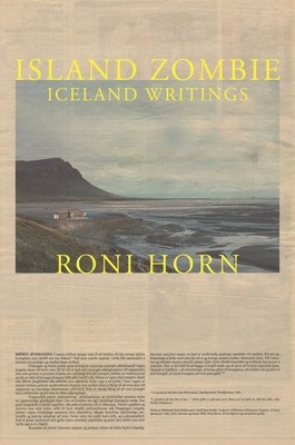 Island Zombie: Iceland Writings foto