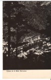 CPIB 22676 - CARTE POSTALA - VEDERE DE LA BAILE HERCULANE, RPR