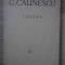 TEATRU-GEORGE CALINESCU-224078