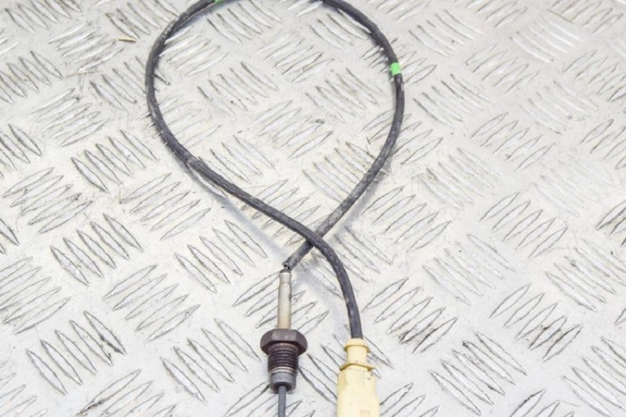 Senzor de temperatură SKODA OCTAVIA III Combi 5E5 2015 OEM: 04L906088AD 11695937