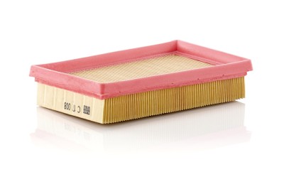 MANN-FILTER C 17 008 Filtru aer foto