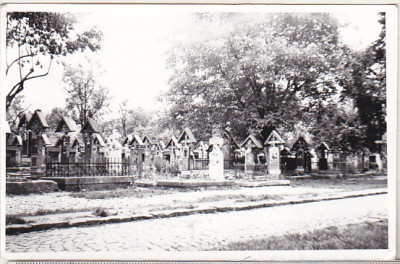bnk foto - Sapanta - Cimitirul Vesel - 1978 foto