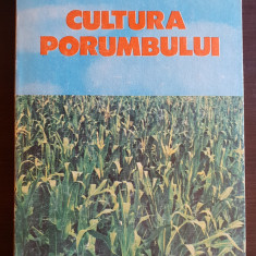 Cultura porumbului - Florea Gruia