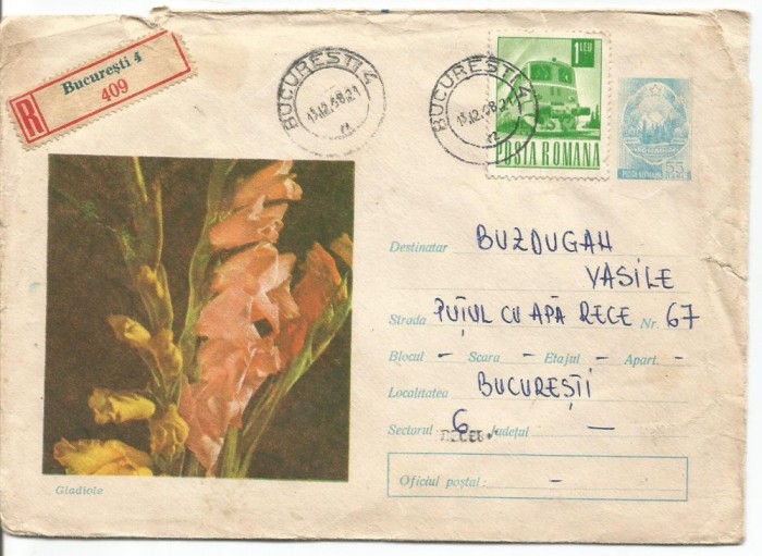 (B) plic -(cod 487/68)-GLADIOLE