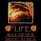 Life Was Never Meant to Be a Struggle