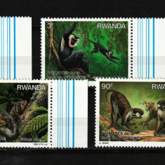 Rwanda / Ruanda, 1988 | Primate, pădurea Nyungwe - Maimuţe, Animale | MNH | aph