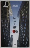 DOZA MEA DE NEW YORK de ANDY LUPU , 2012