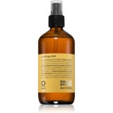 Oway Styling &amp; Finish ceață de piele fixatoare cu extract de plante 240 ml