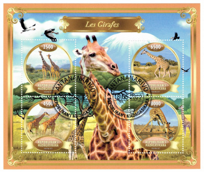 MADAGASCAR 2022 - Fauna, Girafe / set complet colita + bloc foto