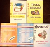 LOT 5 NOTITE LIMBA ROMANA GIMNAZIU: SINTAXA FRAZEI, TEORIE LITERARA; POEZIE, PROZA, GRAMATICA-COLECTIV-338859