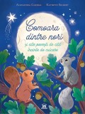Cumpara ieftin Comoara Dintre Nori Si Alte Povesti De Citit Inainte De Culcare, Alexandra Garibal, Kathryn Selbert - Editura DPH