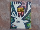 GHEORGHII BALL - CORABIA PĂDURII , 1963 (lb. Rusa)
