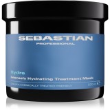 Sebastian Professional Hydre Masca hidratanta par pentru par uscat, deteriorat si tratat chimic 500 ml