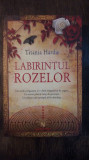 LABIRINTUL ROZELOR-TITANIA HARDIE, Nemira