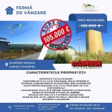 Fermă de v&acirc;nzare &icirc;n H&acirc;rșova