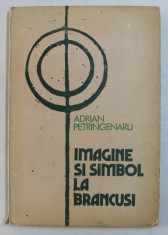 IMAGINE SI SIMBOL LA BRANCUSI-ADRIAN PETRINGENARU, BUC.1983 foto