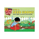 How a Seed Grows