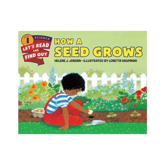 How a Seed Grows