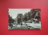 CARTE POSTALA - RPR - RADAUTI - VEDERE DIN PARC
