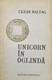 Unicorn in oglinda - Cezar Baltag