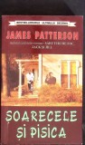 SOARECELE SI PISICA-JAMES PATTERSON-353266