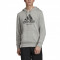 Hanorac sport adidas Category Hoodie FJ3889 pentru Barbati