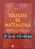 Culegere de matematica pentru clasa a VIII-a - Ioan Dancila, Marin Ion