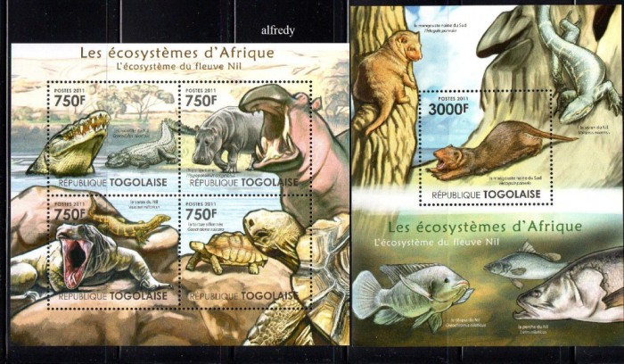 TOGO 2011, Fauna, serie neuzata, MNH