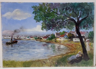 Raul Sena - Nicolcea Spineni foto