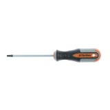 Surubelnita profil Torx, Holzer Profi 372066, T 20, 100 mm