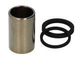 Cumpara ieftin Pistoane pentru etrier Fata/Spate (cu etansanti) pentru HONDA CBR, GL, ST, VFR, XL 800-1800 1996-2005
