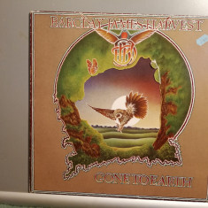 BARCLAY JAMES HARVEST - GONE TO EARTH (1977/POLYDOR/RFG) - Vinil/ROCK/Impecabil